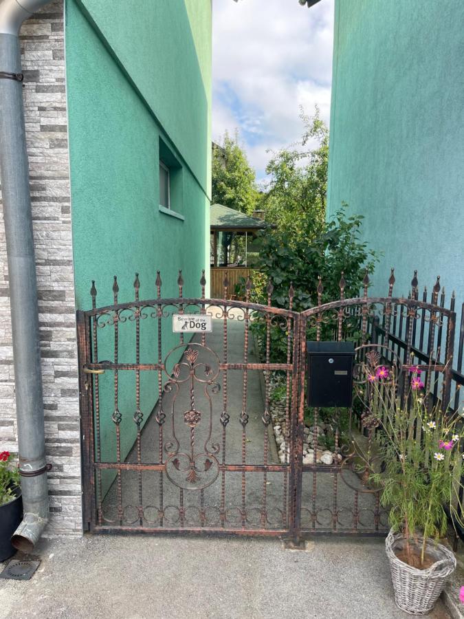 Apartment Rea Ilidza 2 Sarajewo Zewnętrze zdjęcie